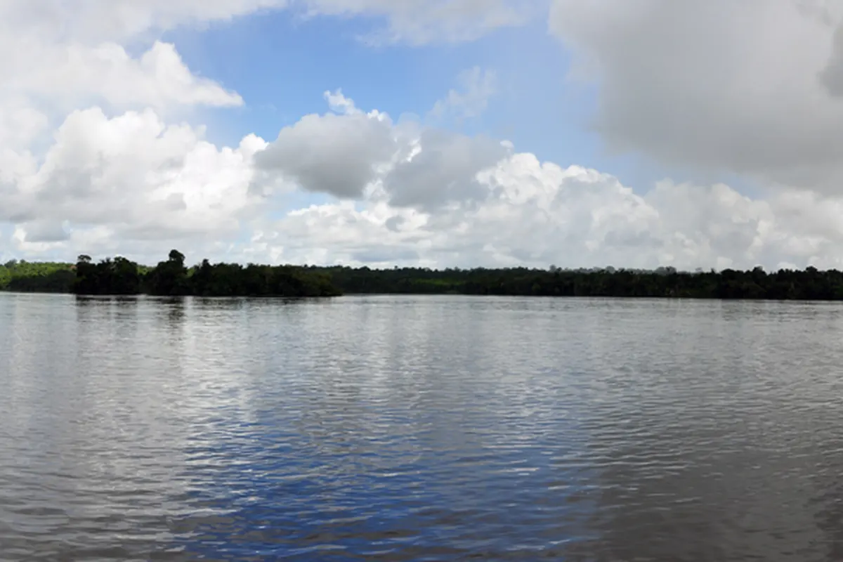 Река Мазаруни, Гайана